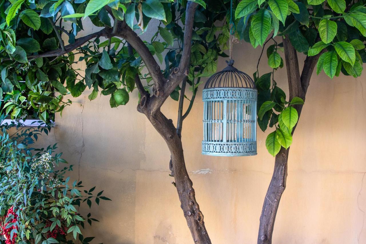 הוילה אנביסוס Lida Garden Loft מראה חיצוני תמונה